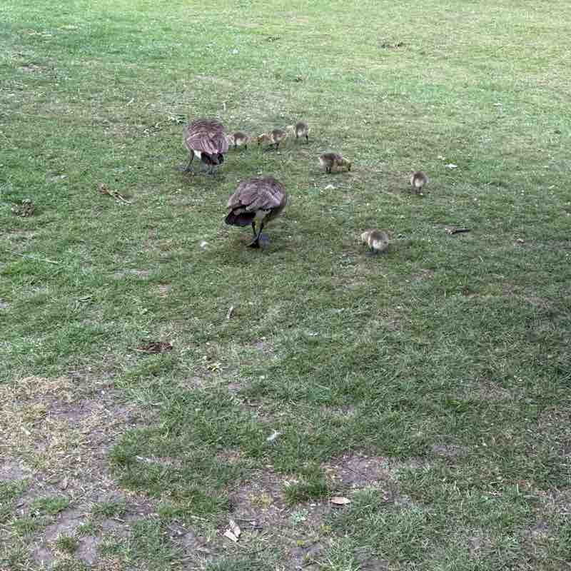 John 🏴󠁧󠁢󠁥󠁮󠁧󠁿 post 1