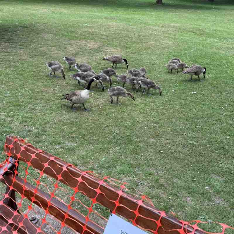 John 🏴󠁧󠁢󠁥󠁮󠁧󠁿 post 2