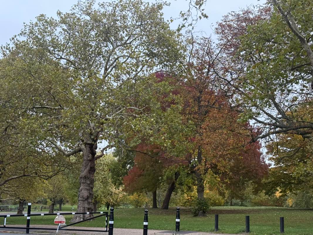 walking near me in Finsbury Park in autumn