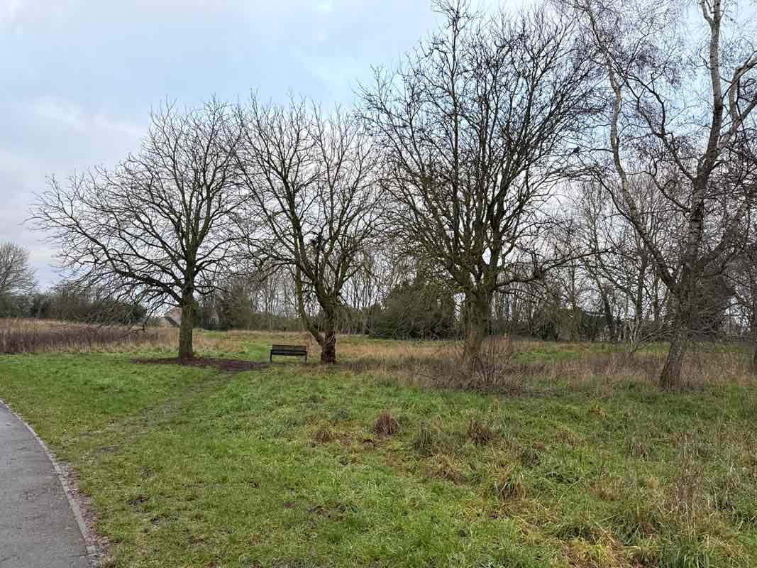 walking near me in Greenlands Park in winter
