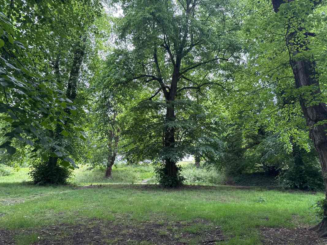 walking near me in Alexandra Park in summer