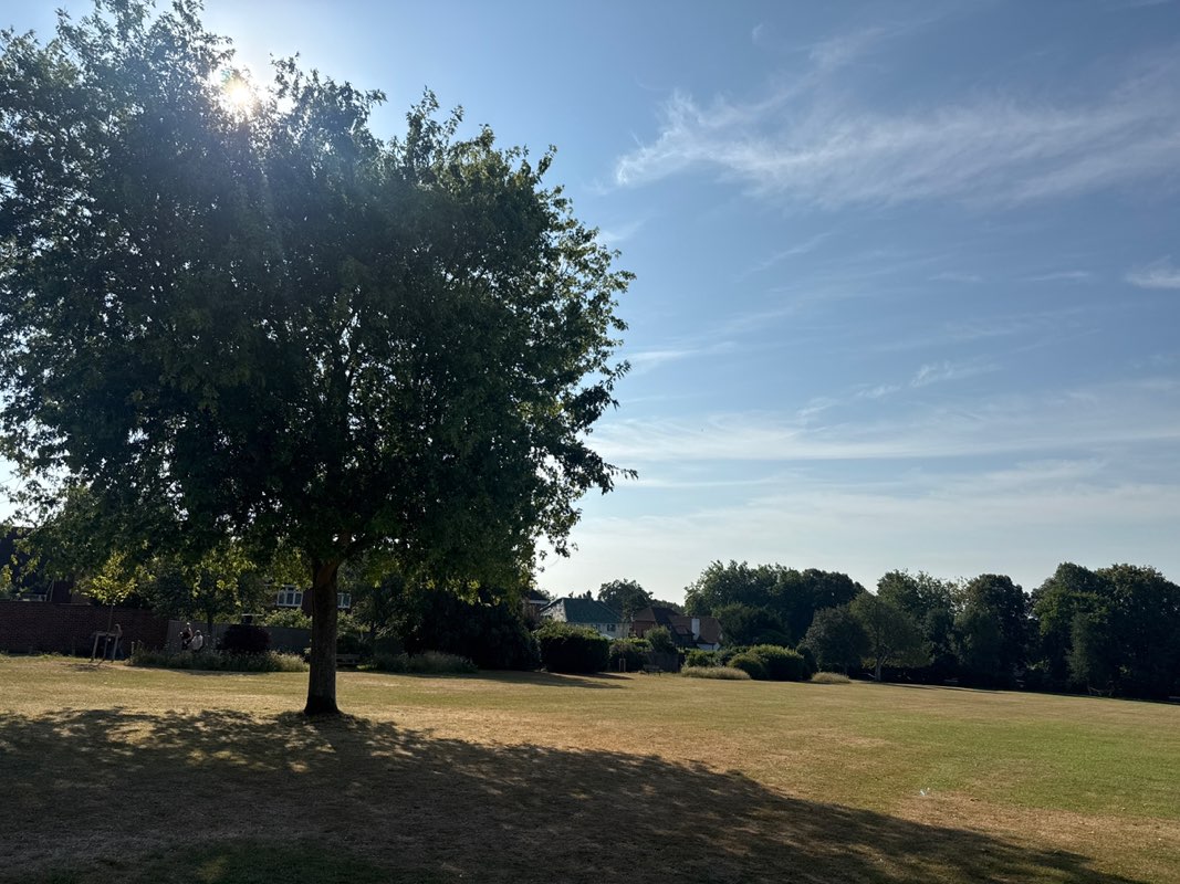 walking near me in Grove Gardens in summer