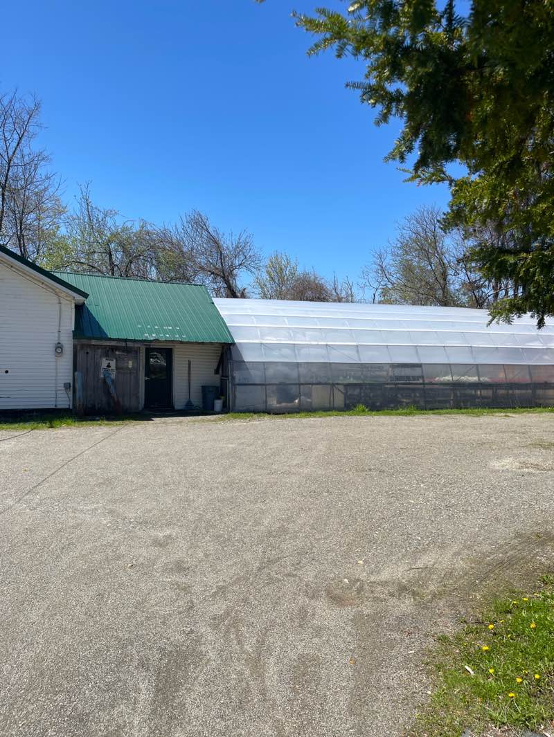 walking near me in Fay Hyland Botanical Garden in spring