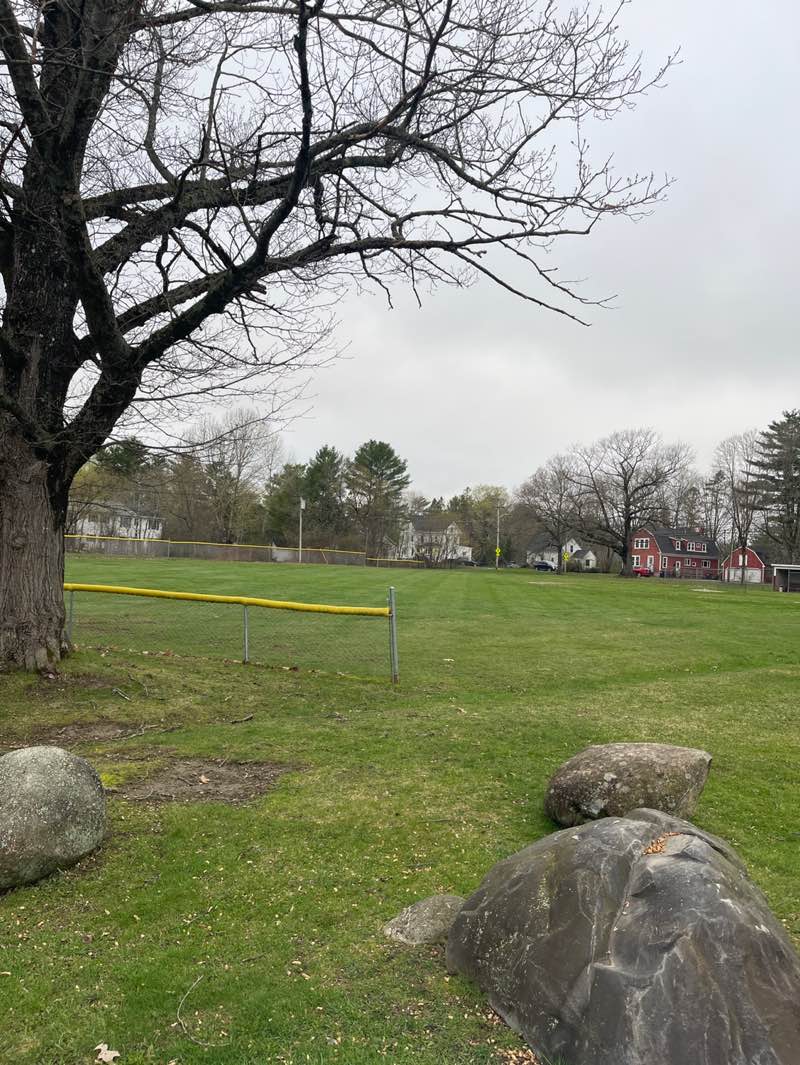 walking near me in Marden Park in spring