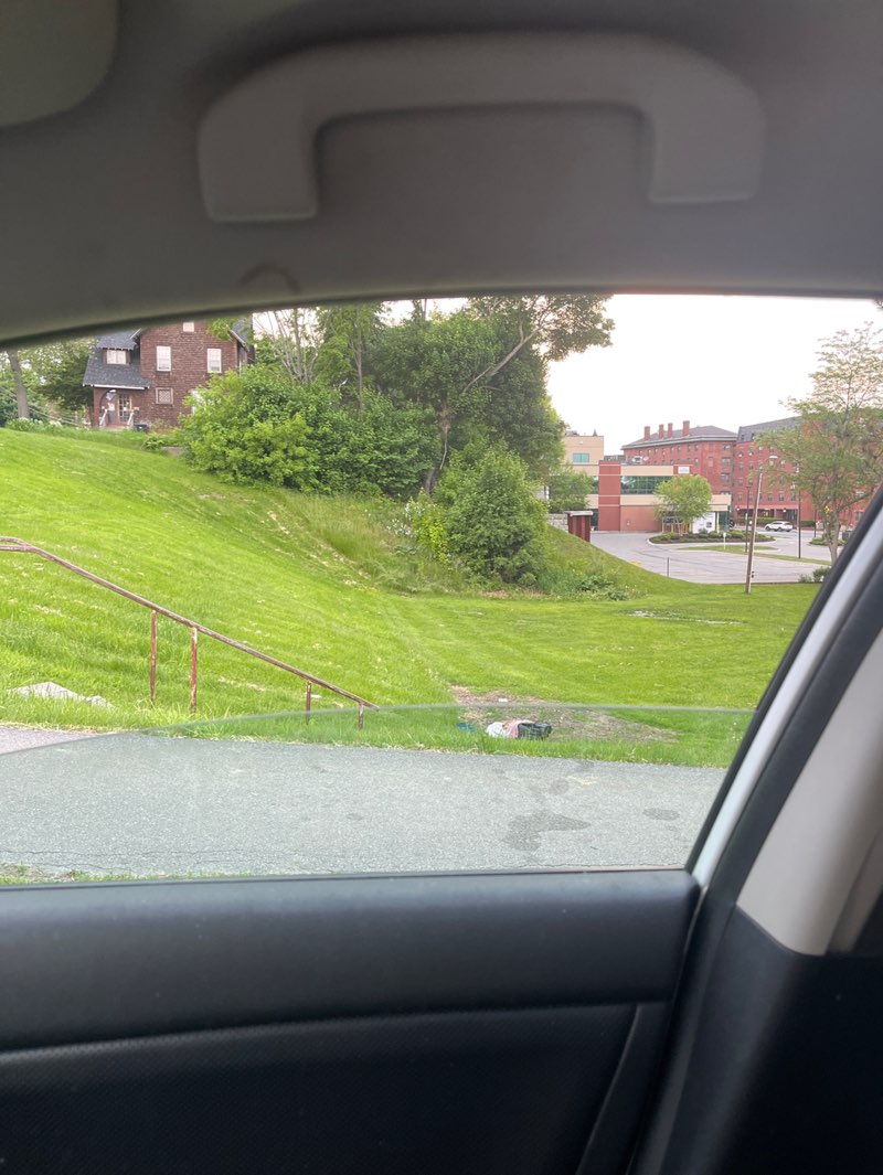 walking near me in Davenport Park in summer