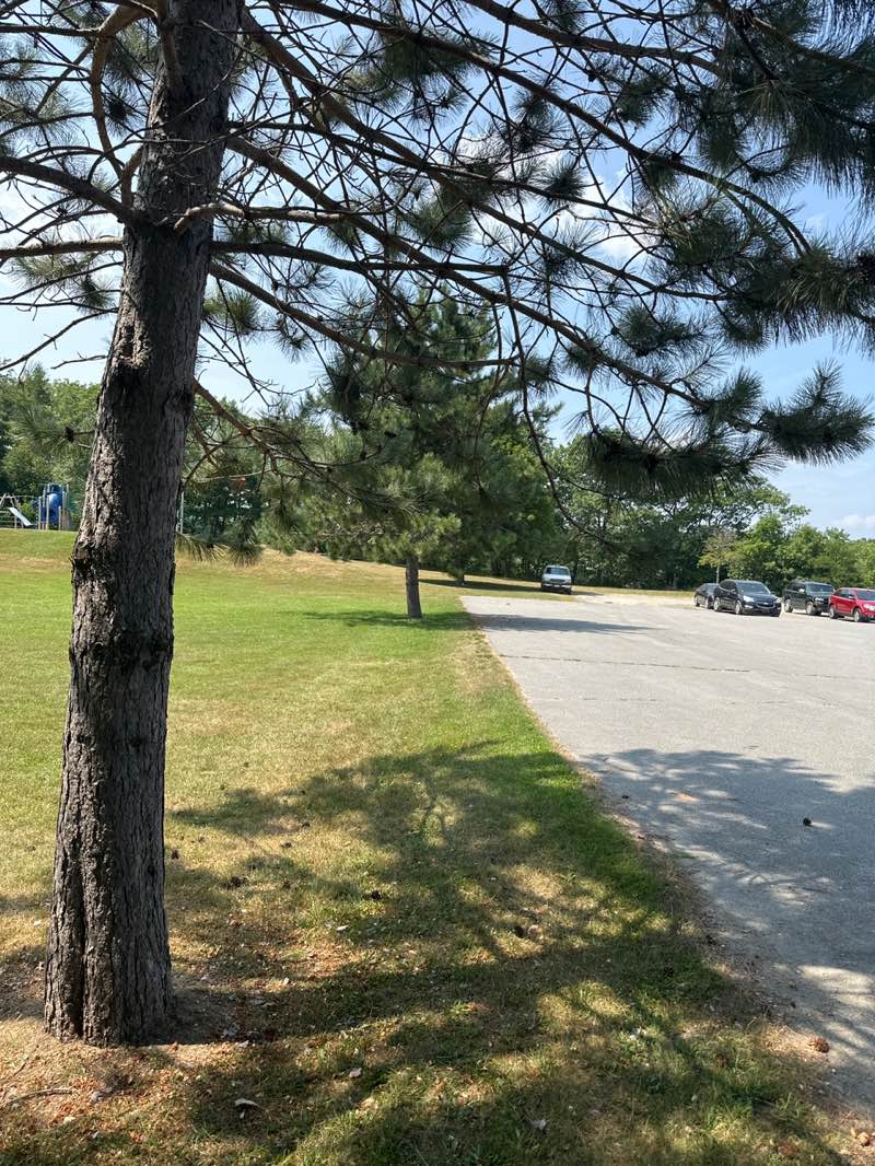 walking near me in Eastern Park in autumn