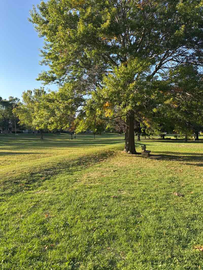 walking near me in Chapin Park in autumn