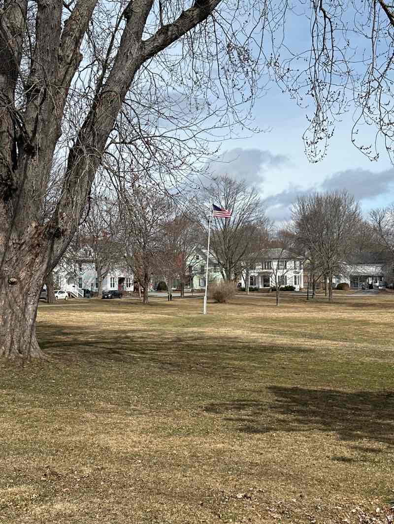 walking near me in Chapin Park in spring