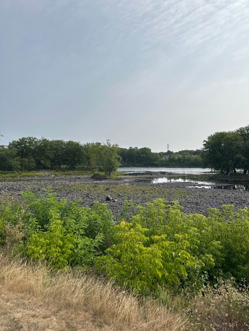 walking near me in Binnette Park in summer