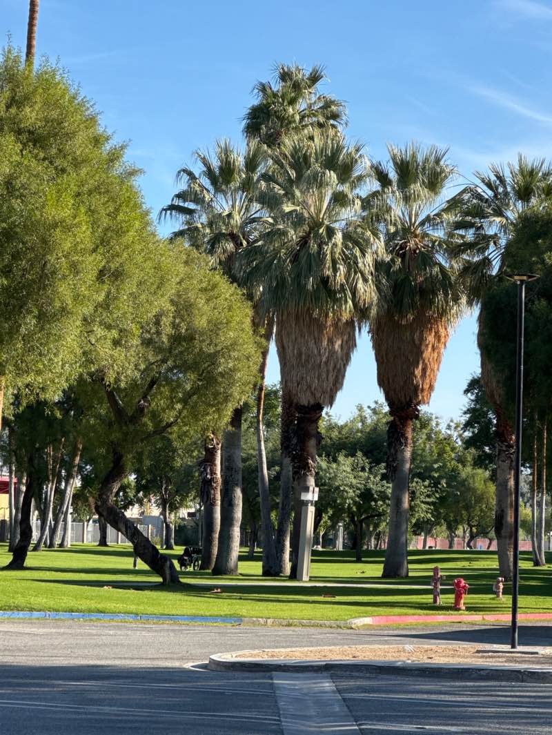 walking near me in Sunrise Park in autumn