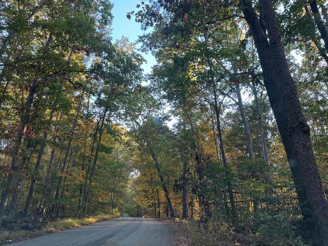 walking near me in Popes Head Park in autumn
