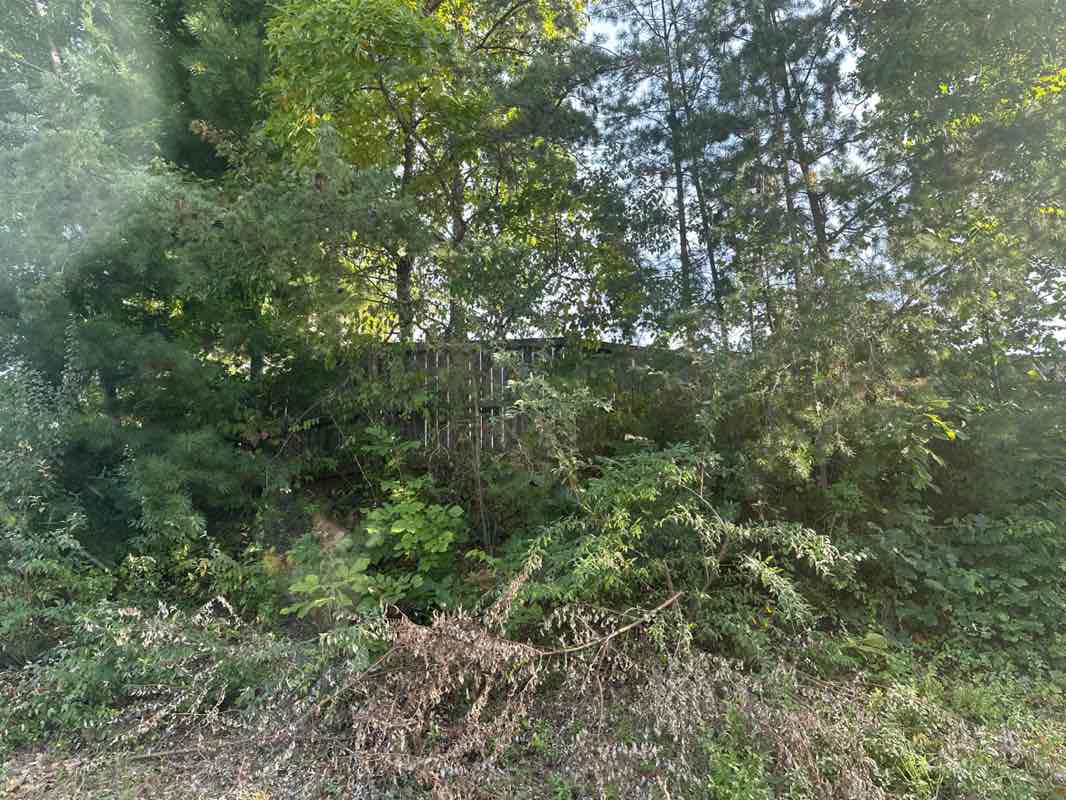 walking near me in Burke Ridge Park in autumn