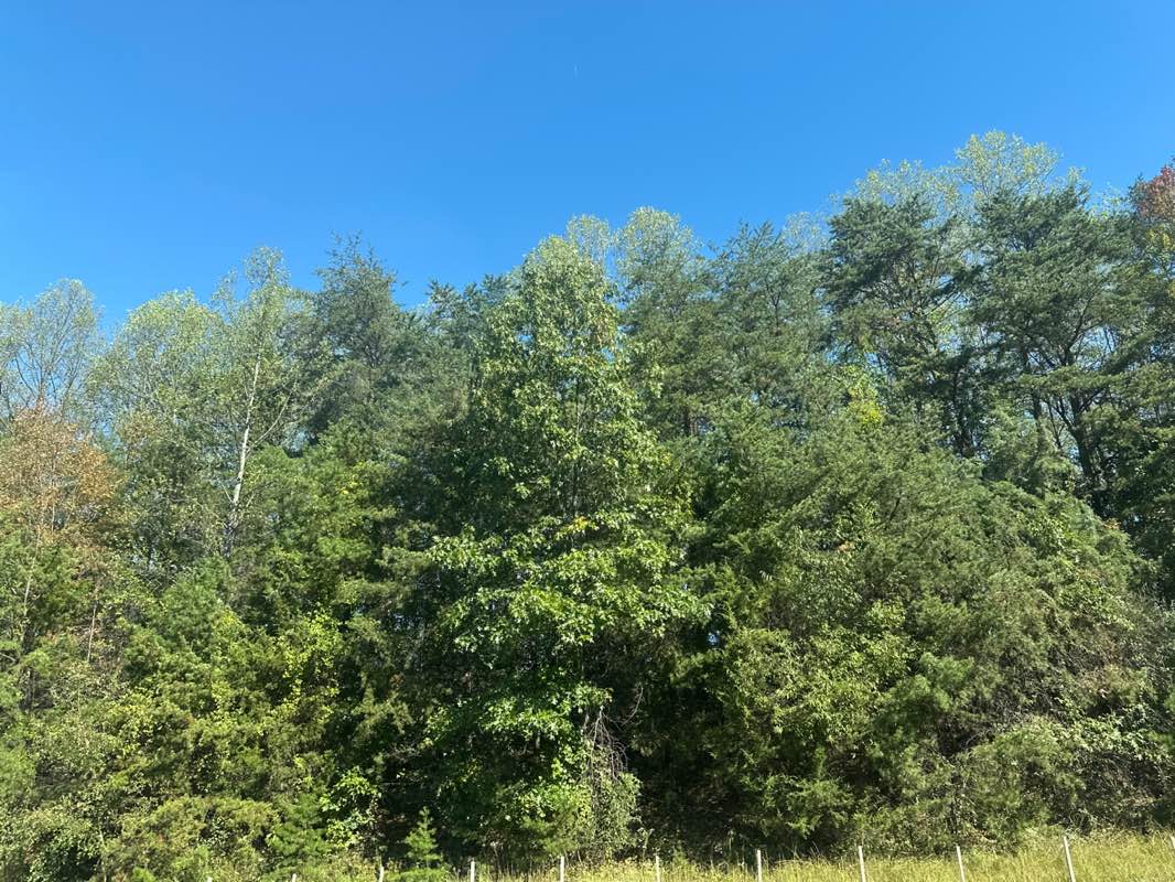 walking near me in Patriot Park in autumn