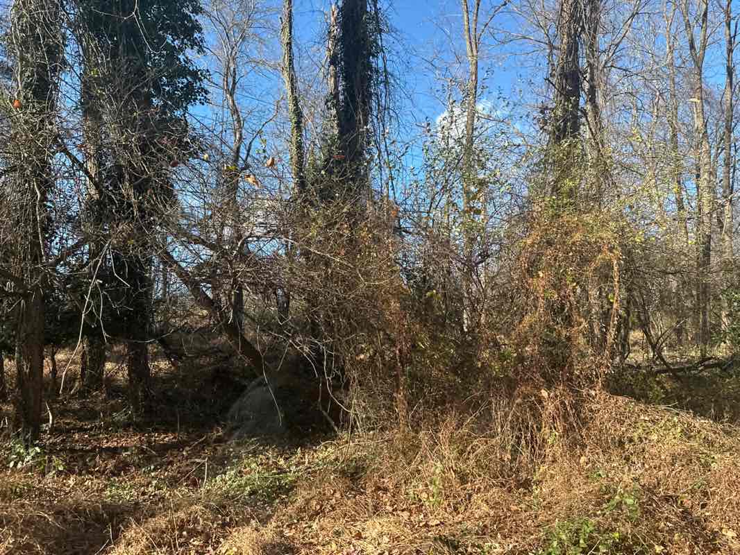 walking near me in Clarke's Landing Park in autumn