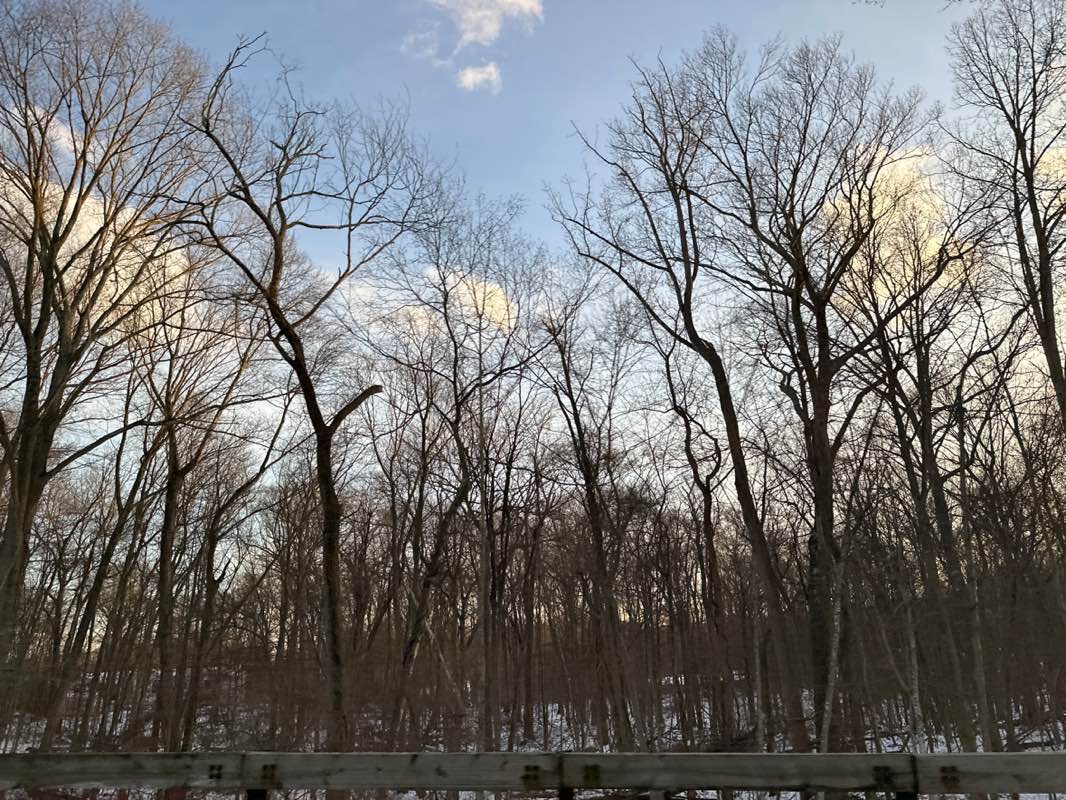 walking near me in Italian Center in winter