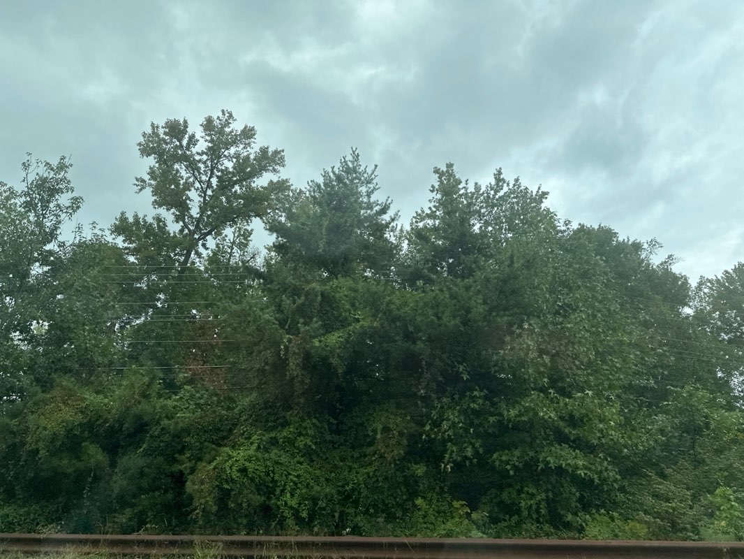 walking near me in Pohick Estates Park in autumn