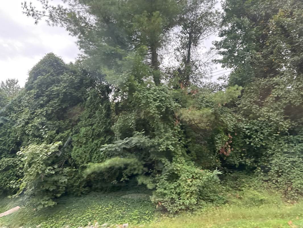 walking near me in Hunter Village Park in autumn