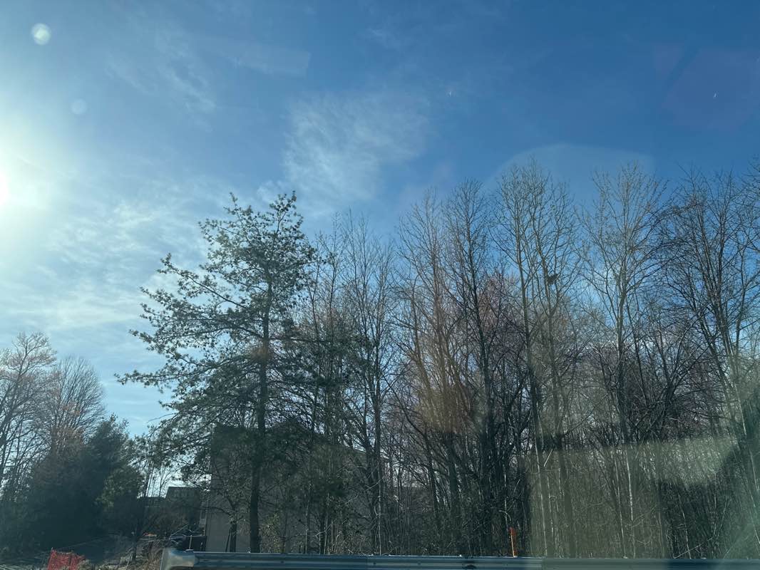 walking near me in Willow Pond Park in spring