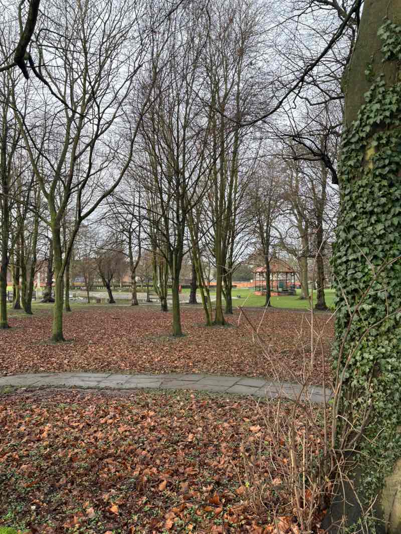 walking near me in Memorial Park in winter