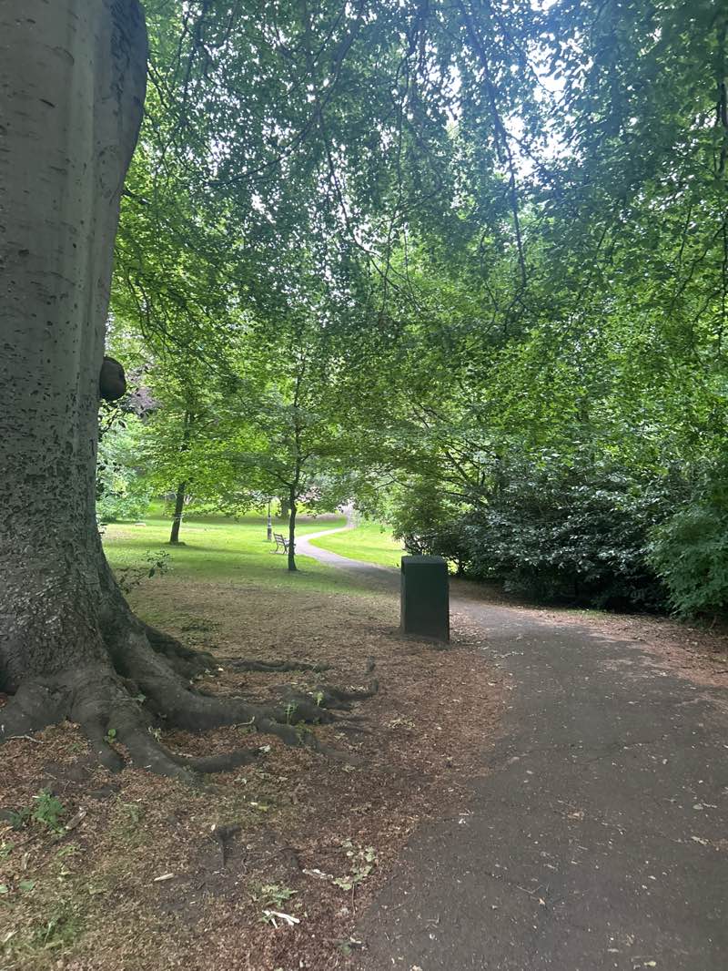 walking near me in The Sele in summer