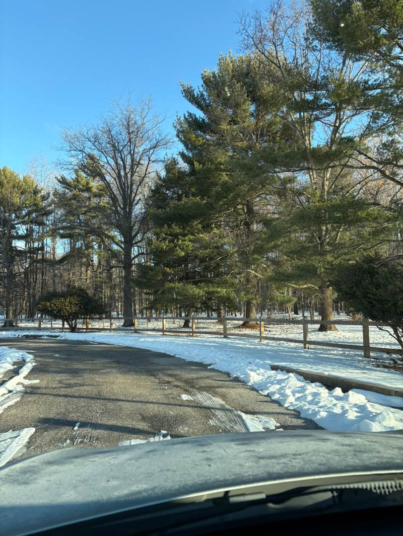 walking near me in Route 18 Park in winter