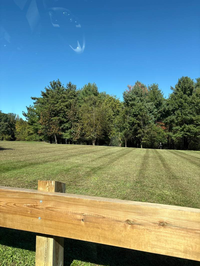 walking near me in Generals Highway Corridor Park in autumn