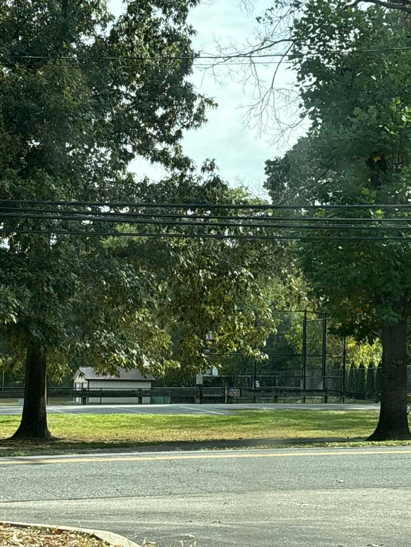 walking near me in Cypress Creek Park in autumn