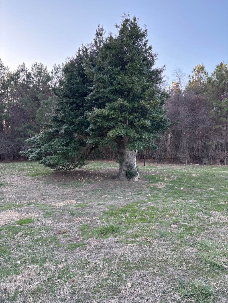 walking near me in Wye Island Natural Resource Management Area in spring