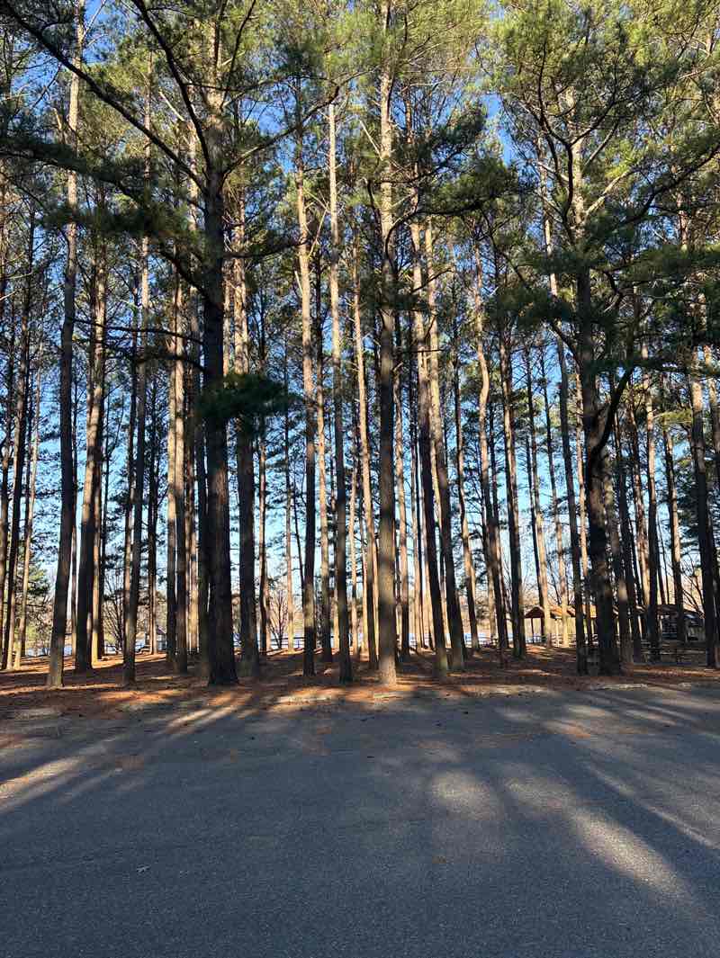 walking near me in Tuckahoe State Park in spring