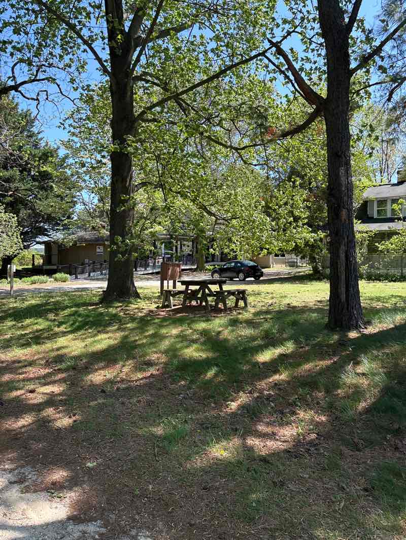 walking near me in Horsehead Farm Wildlife Sanctuary in spring