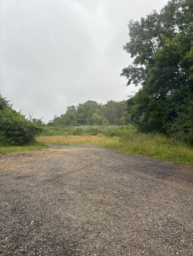 walking near me in Love Point State Park in summer