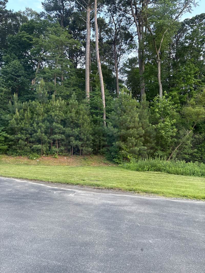 walking near me in Matapeake Park in summer