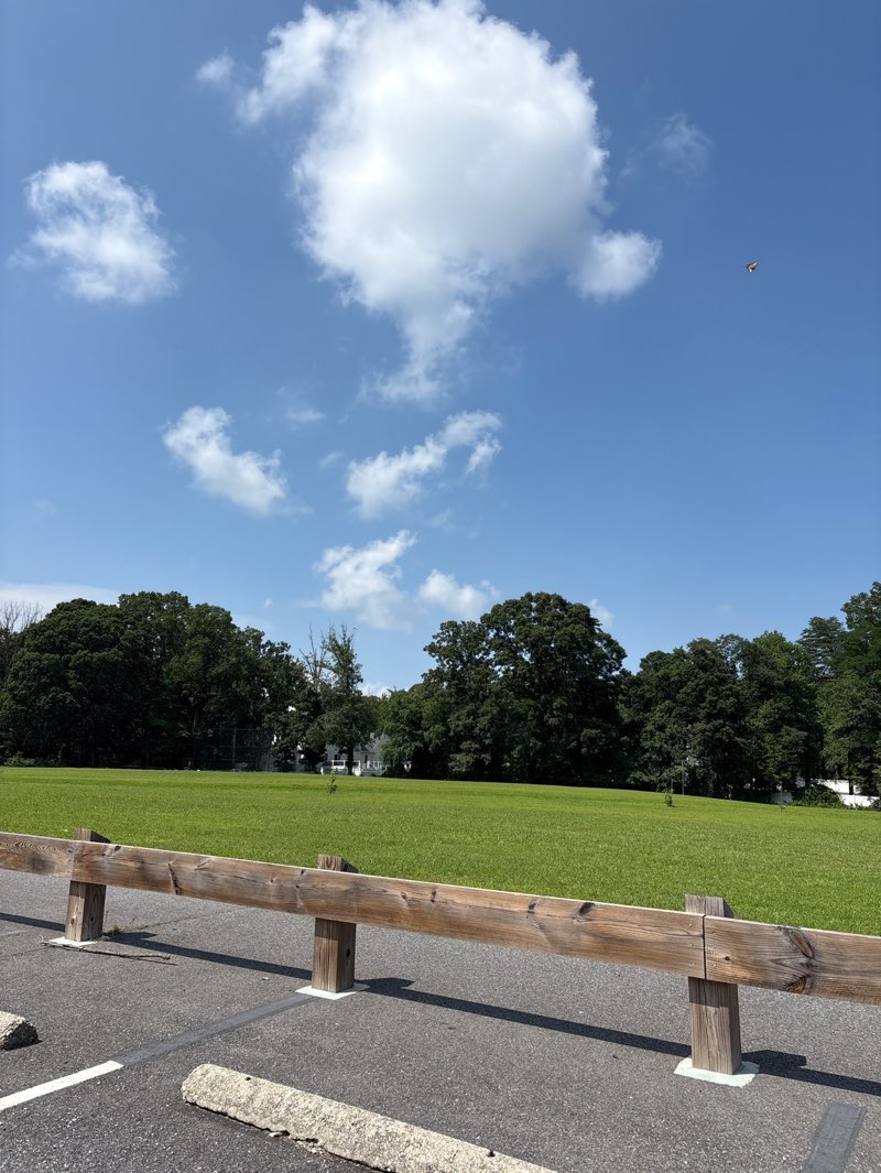 walking near me in Jacobsville Park in summer