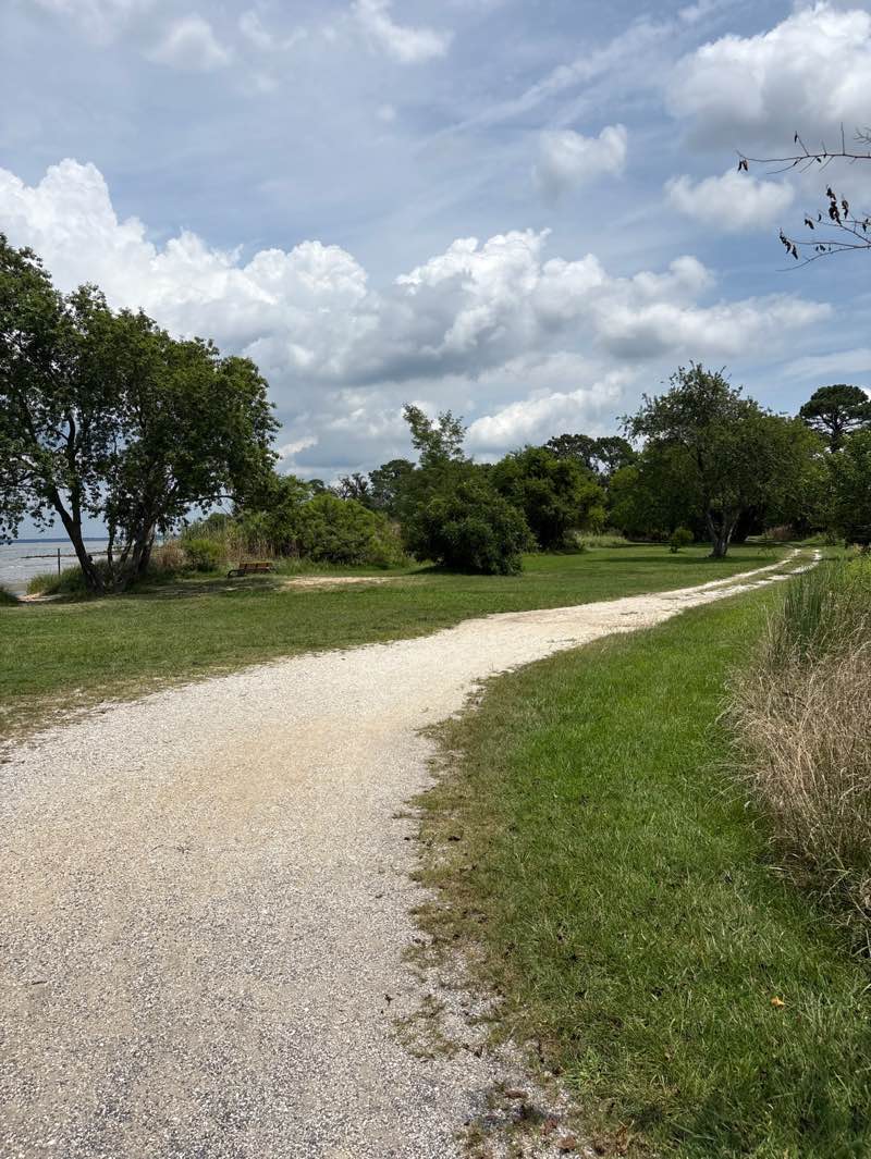 walking near me in Ferry Point Park in autumn