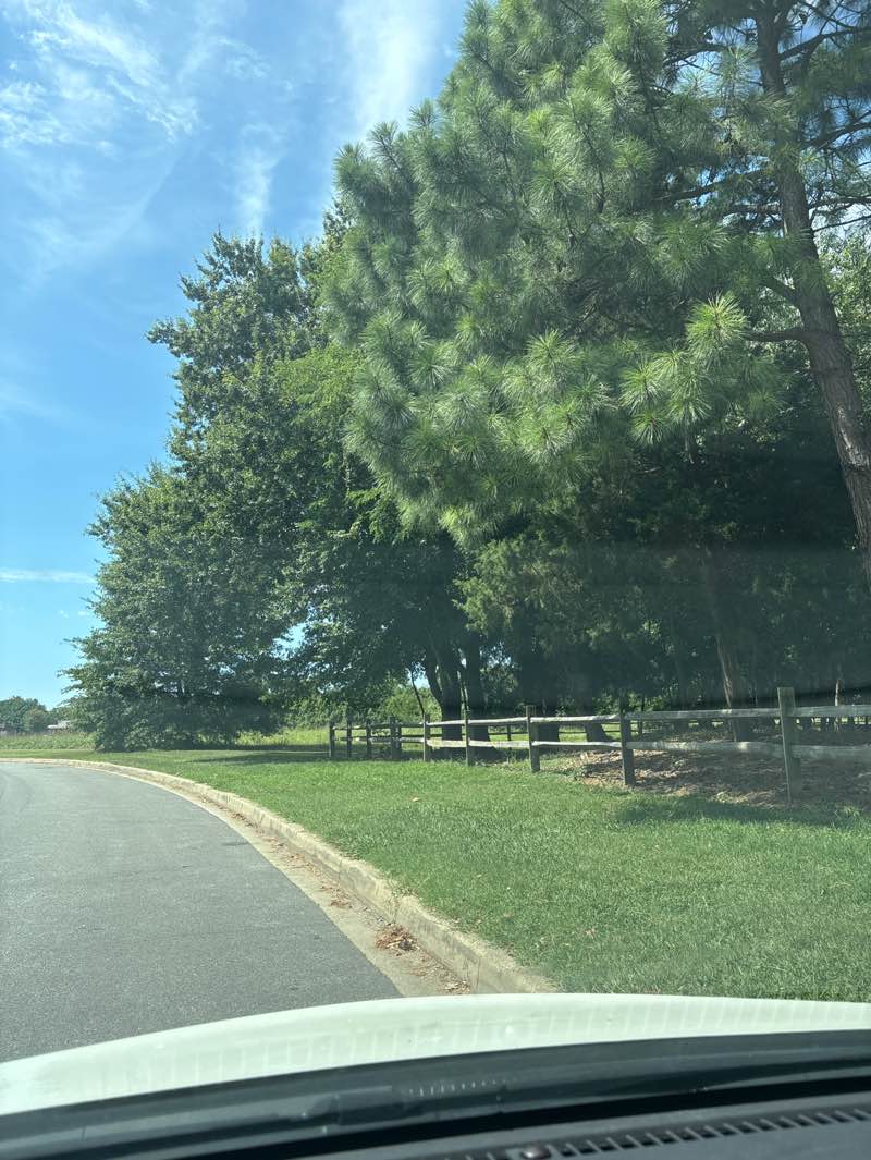 walking near me in Terrapin Nature Area in autumn