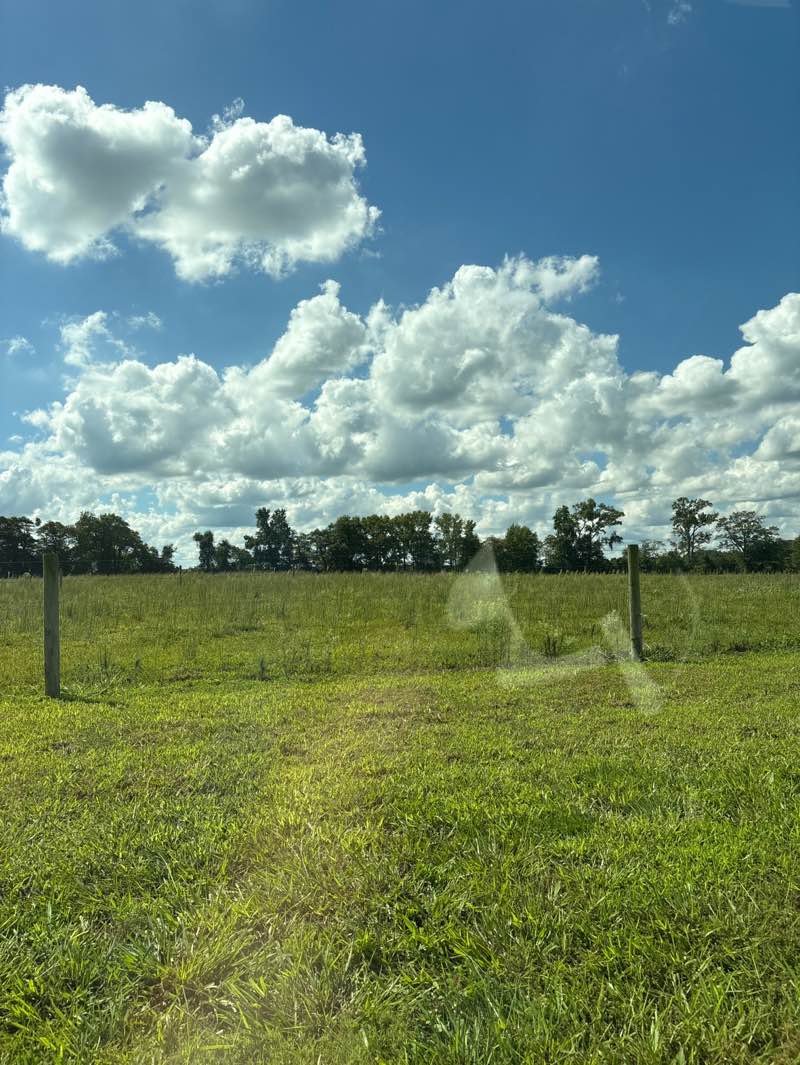 walking near me in DNR Held Conservation Easement in autumn