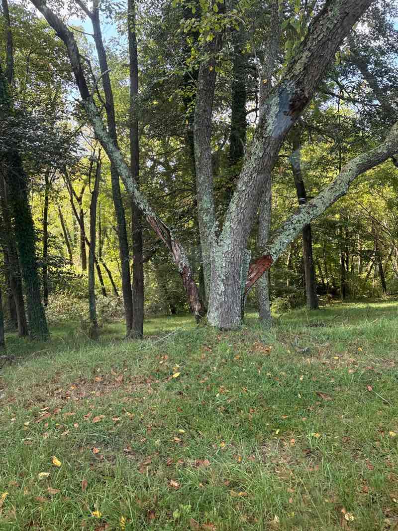 walking near me in Dnr Held Conservation Easement in autumn