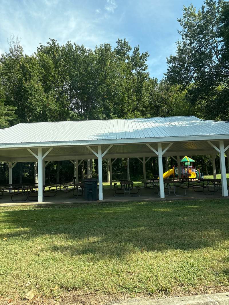 walking near me in Mowbray Park in autumn