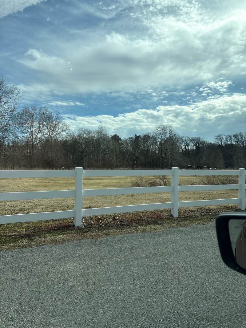 walking near me in Curtis Harvey Memorial Park in winter