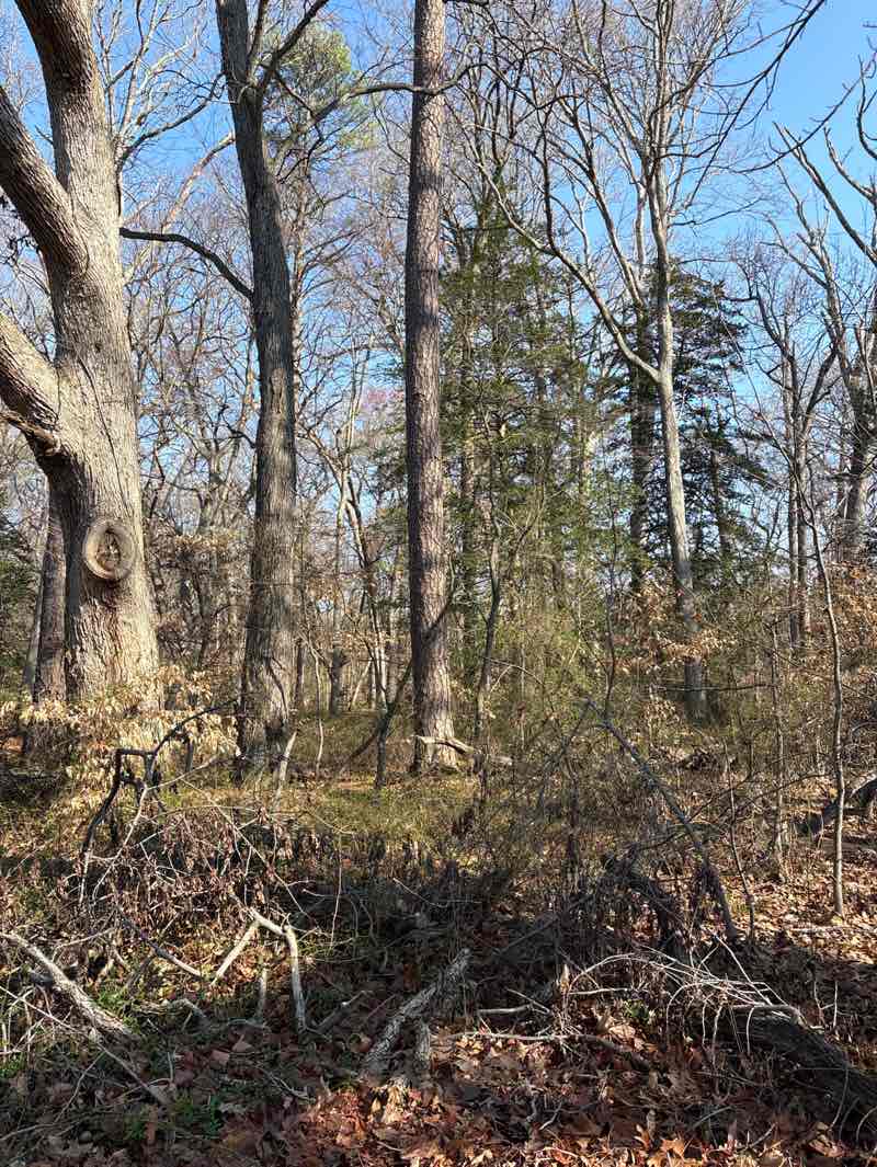 walking near me in Wye Island Natural Resource Management Area in spring