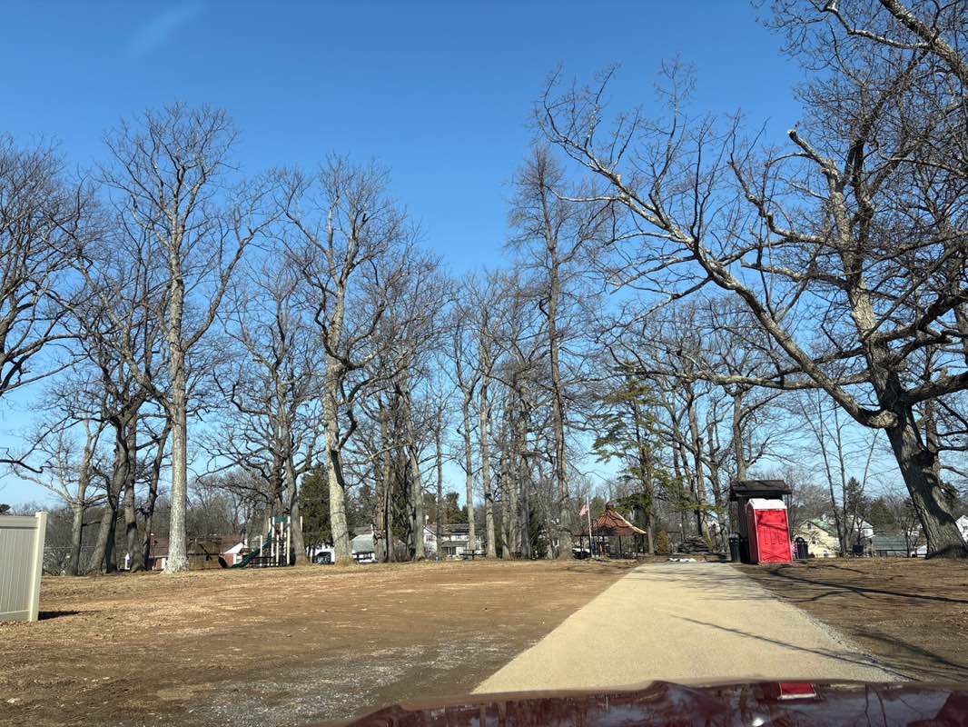 walking near me in Wildwood Park in spring