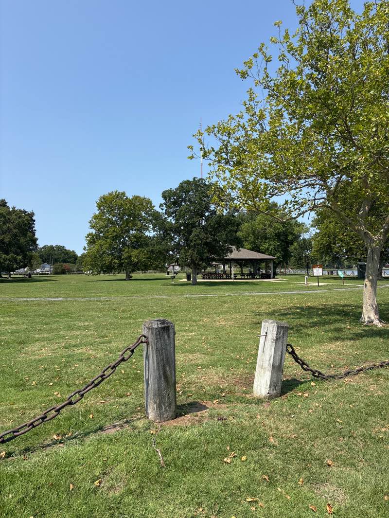walking near me in Great Marsh Park in summer