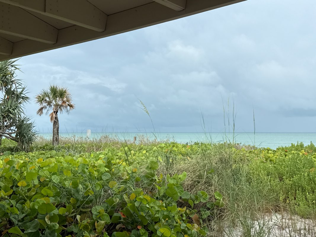 walking near me in Lowdermilk Park in spring