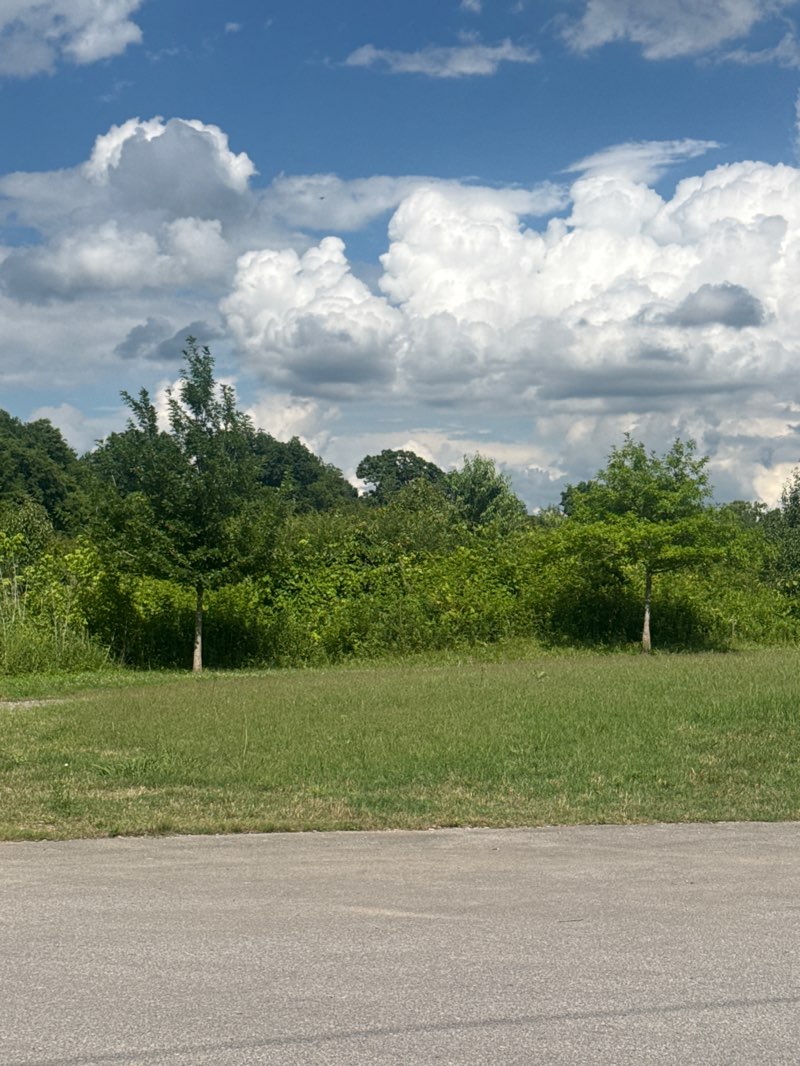 walking near me in Ladd Park Canoe Access in summer