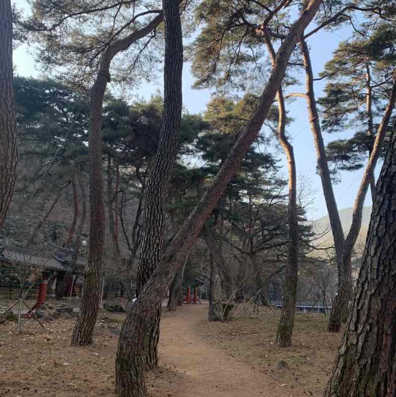 운동해서 맛있는거 먹기 영국 post image