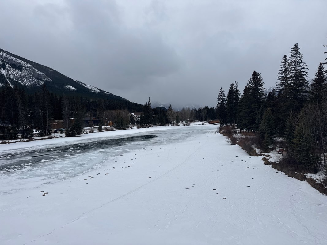 walking near me in Central Park in winter