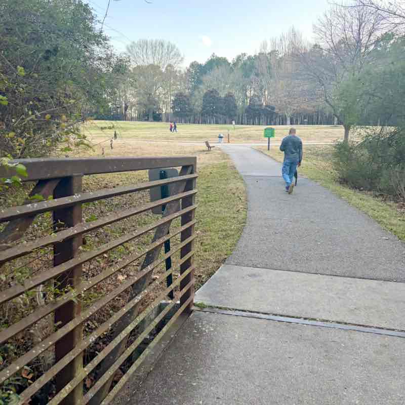 March 5k Race #4 PacerPraiser post image