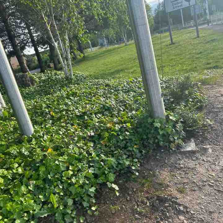 Lewis post 1