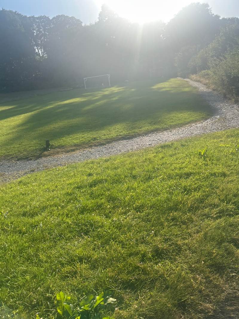 walking near me in Cae Bryn Coed in summer