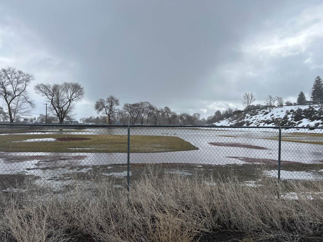 walking near me in Memorial Field in spring